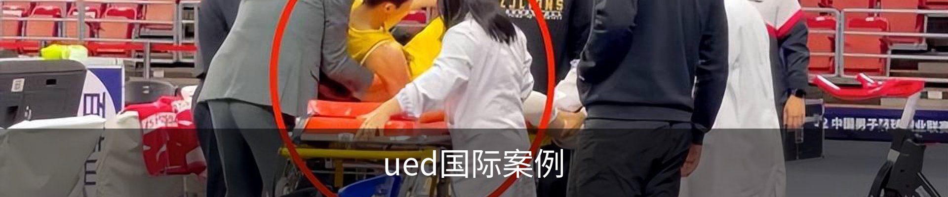 ued国际案例